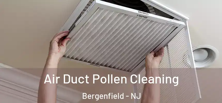 Air Duct Pollen Cleaning Bergenfield - NJ