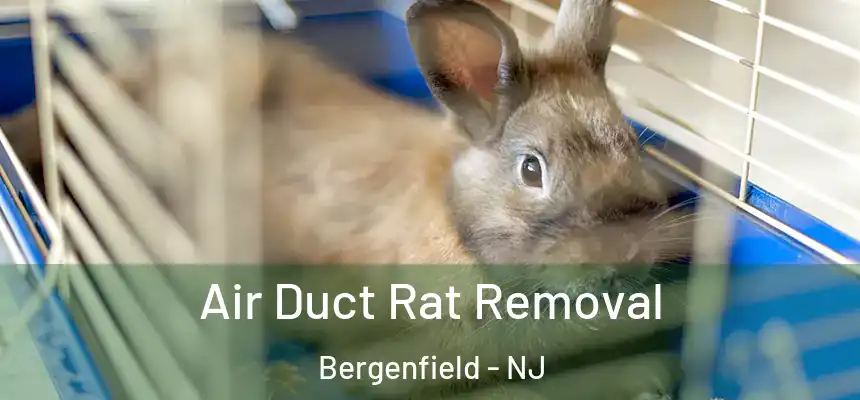  Air Duct Rat Removal Bergenfield - NJ