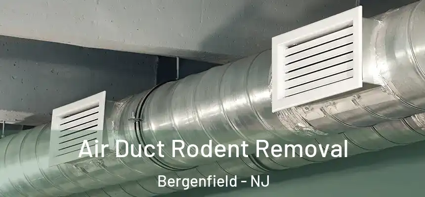  Air Duct Rodent Removal Bergenfield - NJ