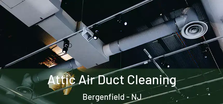  Attic Air Duct Cleaning Bergenfield - NJ