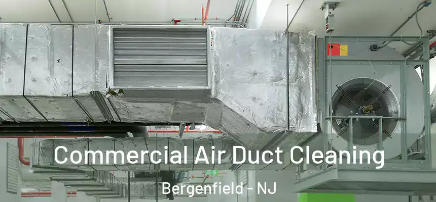 Commercial Air Duct Cleaning Bergenfield - NJ