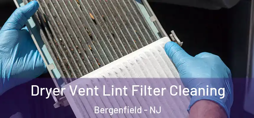  Dryer Vent Lint Filter Cleaning Bergenfield - NJ