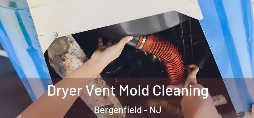  Dryer Vent Mold Cleaning Bergenfield - NJ