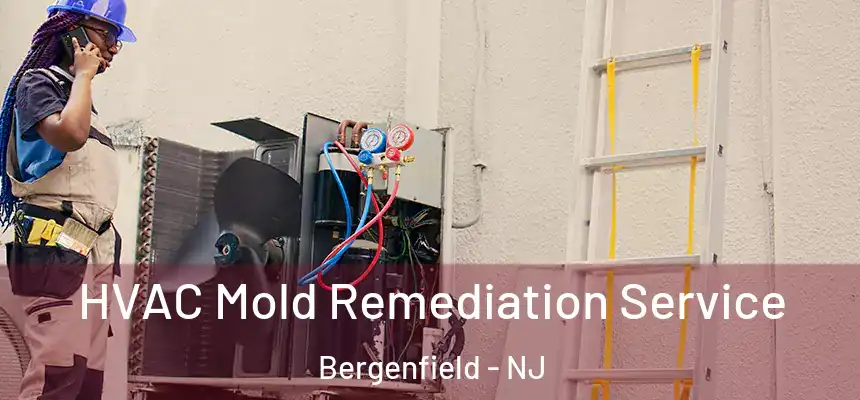  HVAC Mold Remediation Service Bergenfield - NJ