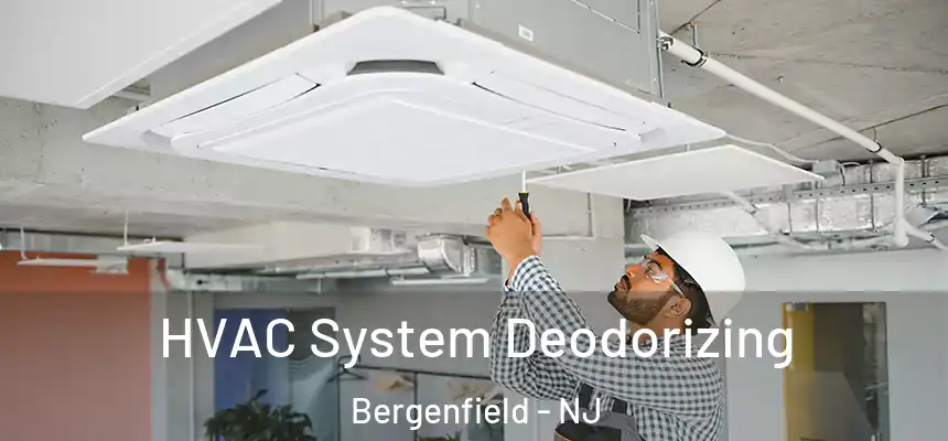  HVAC System Deodorizing Bergenfield - NJ