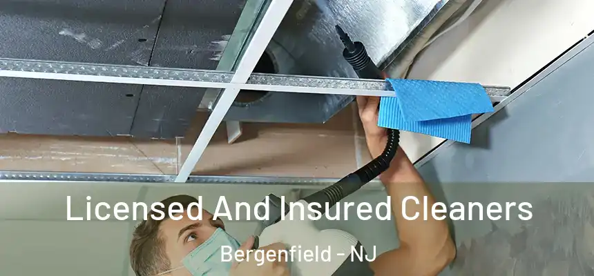 Licensed And Insured Cleaners Bergenfield - NJ