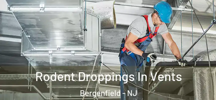 Rodent Droppings In Vents Bergenfield - NJ