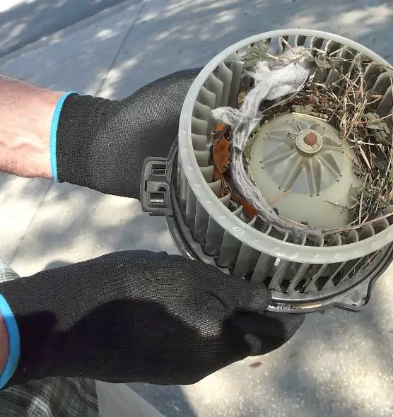 About Air Duct Mice Removal in Bergenfield, NJ