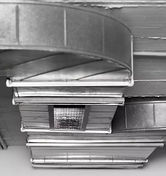 Professional Air Duct Pest Removal in Bergenfield, NJ