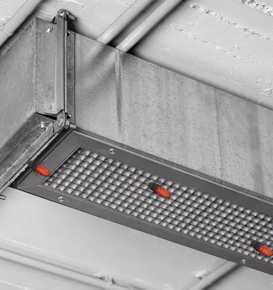 Affordable Insect Removal from Air Ducts in Bergenfield, NJ