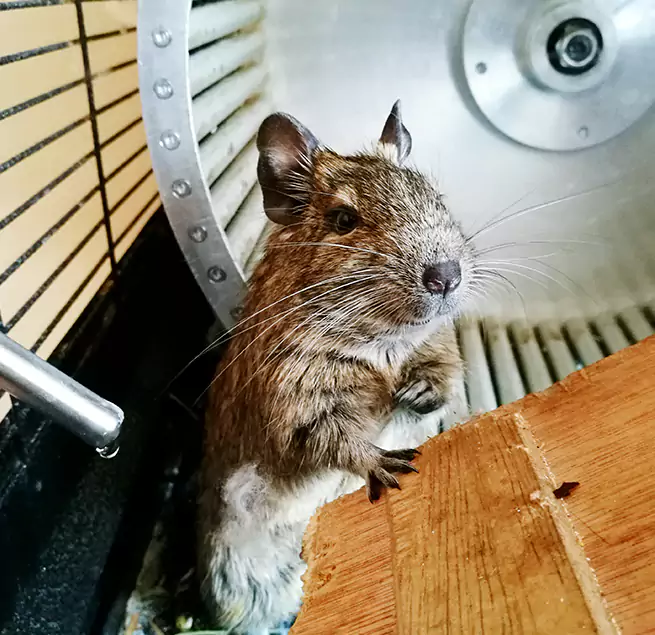 Why Homeowners & Businesses Trust Us Bergenfield, NJ?