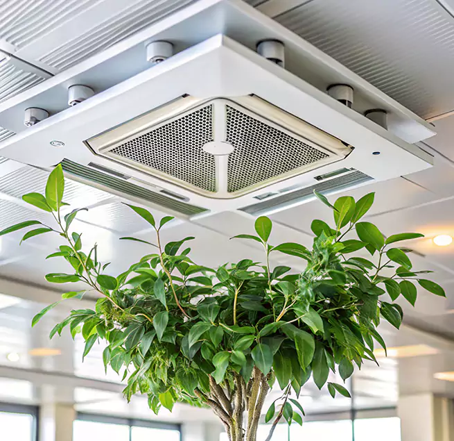 Why Homeowners & Businesses Trust Us in Bergenfield, NJ?